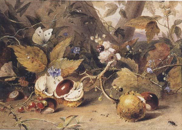 Elizabeth Byrne Still-life with horse chestnuts and insects (mk47) France oil painting art